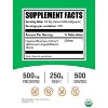 BulkSupplements Blueberry Extract Powder - 2 of 4