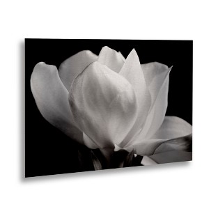 Michael Harrison 'Gardenia' Floating Brushed Aluminum Art - 1 of 4