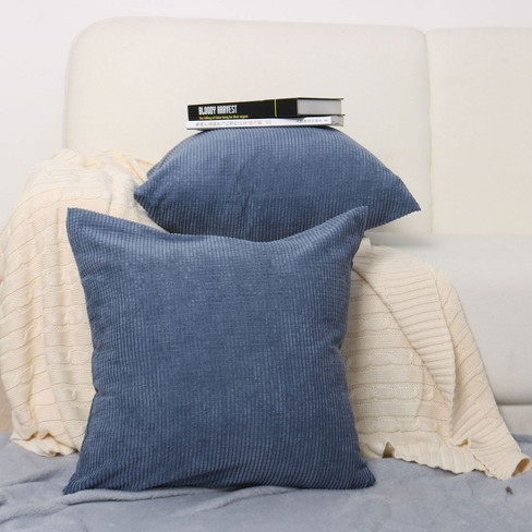 Two Decorative Pillows Soft Blue Pillow Cover Striped 