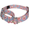Country Brook Petz Martingale Dog Collar - Spring Collection - 2 of 4