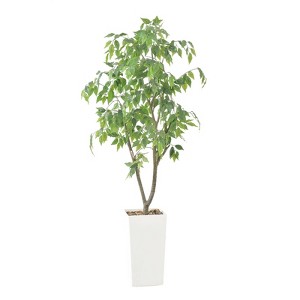Tall UV Resistant Ficus Tree Artificial, 5ft Realistic Texture Potted Faux Ficus Tree, Fake Trees Indoor Outdoor for Home Office Foyer Porch Decor - 1 of 4