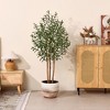 DR.Planzen 5-7FT Artificial Olive Tree with Real Wood Trunks & Triple-Stem Design in White Planter, Lifelike Faux Tree Plant for Indoor Outdoor Decor - 4 of 4