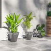Aghana Digitals 3-Piece Gray MgO Stackable Planters Set: Weather-Resistant Tall Flower Pots with - 2 of 4