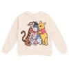 Disney Winnie the Pooh Mickey Mouse Baby Fleece Sweatshirt and Denim Pants Outfit Set Newborn to Infant - 4 of 4