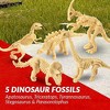 Jurassic Dinosaur Fossil Dig Kit – STEM Excavation Set with 5 Dinosaur Skeletons, Tools & Educational Fun - 2 of 4