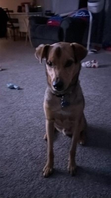 Guest review image 2 of 2, zoom in