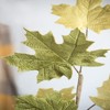 SEVOBAL Party Decorations and Accessories Set of 6 Velvet Maple Leaf Spray 35 Inch for Fall and Thanksgiving Decor, Green, 37"*7.3"*5.1" - 2 of 4