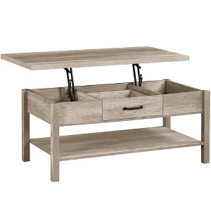 Yaheetech Lift Top Coffee Table Accent Table with Hidden Compartments ...