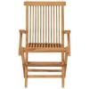 vidaXL Folding Patio Chairs 2 pcs Solid Teak Wood - 3 of 4