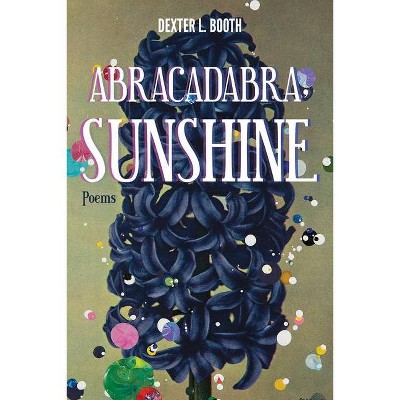 Abracadabra, Sunshine - by  Dexter L Booth (Paperback)