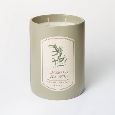 2-wick 19oz Evergreen Cedar Leaf Jar Candle - Home Scents By Chesapeake Bay  Candle : Target