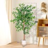 Hykolity Artificial Ficus Tree, 5FT 6FT with White Planter, Realistic Leaves, Natural Wood Trunk, Faux Greenry Plant, Indoor Home Office Decor, 2-Pack - 4 of 4