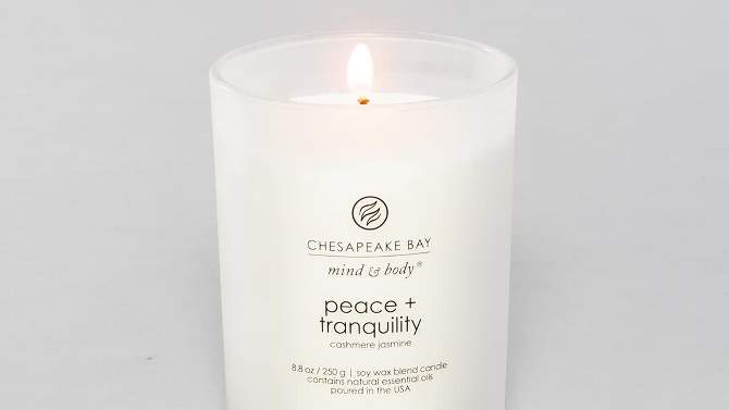 Frosted Glass Peace + Tranquility Lidded Jar Candle White - Mind & Body by Chesapeake Bay Candle, 2 of 14, play video