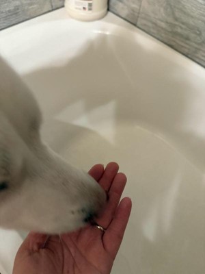 Guest review image 2 of 3, zoom in