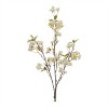 Blossom Floral Branch (Set of 4) - 2 of 2