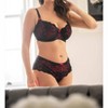 Women's Wo's Amour Shorty - Pour Moi - 3 of 3