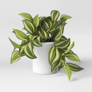 Small Tabletop Artificial Trailing Zebrina Plant - Threshold™