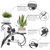 Artloge 4 Tiers Heavy Duty Metal Plant Stand Industrial Style Flower Pot Holder Rack for Garden Balcony Patio Office Decor Space-Saving - 4 of 4