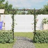 vidaXL Garden Arch Black Iron 78.7 x 20.5 x 80.3 in Durable - 3 of 4