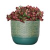 Sagebrook Home 13" Wide 2pc Swirl Polyresin Planters Green/Gold, Rust-Resistant, Indoor/Outdoor Use, Hand-Painted Finish: No Assembly - 3 of 4