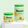 Bloom Nutrition Greens And Superfoods Powder - Mango : Target