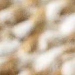 warm gray, pearl, tan, camel, prairie dust