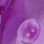 transparent purple