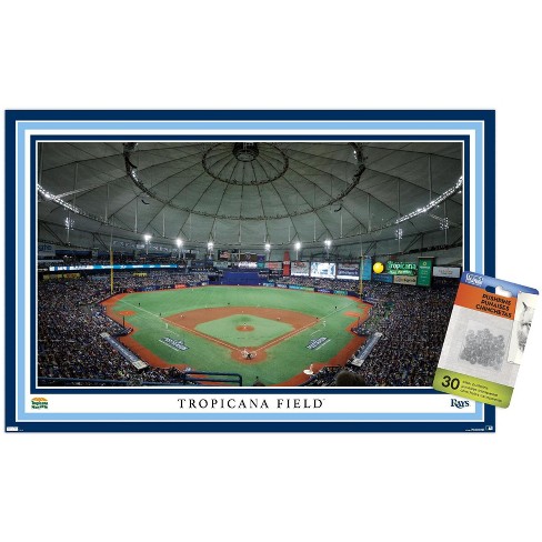 Tampa Bay Rays Gifts, Rays Accessories, Pins