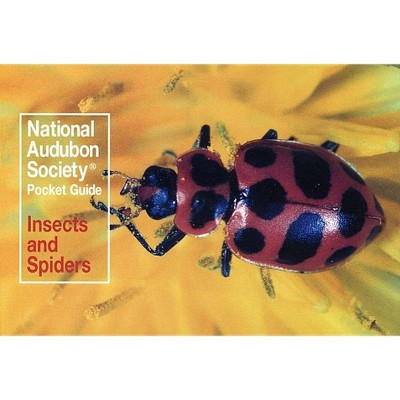 National Audubon Society Pocket Guide: Insects and Spiders - (National Audubon Society Pocket Guides) (Paperback)