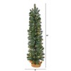 Nearly Natural 3-ft Green Pine Artificial Christmas Tree with 50 Warm White Lights Set in a Burlap Base - 2 of 4