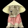 Junior's Design By Humans Shar pei By Barruf T-Shirt - 2 of 3
