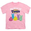 Easter My Kind Of Peeps Kids T-Shirt For Youth Pink - 2 of 4