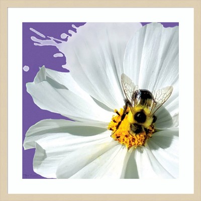 Flower Pop IV Svelte Natural Framed Graphic Art Print