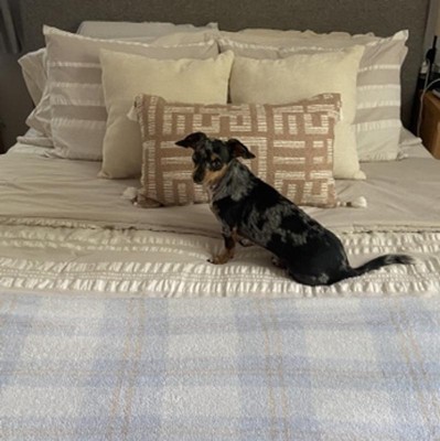 Guest review image 1 of 1, zoom in