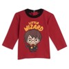  Harry Potter Baby Bodysuit T-Shirt and Pants 4 Piece Layette Set Newborn to Infant  - 3 of 4