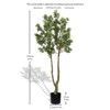 Angel Sar 5.2FT Artificial Evergreen Tree, Realistic Faux Potted Plant with Natural Trunk & Lush Foliage, Indoor Greenery for Home Office Decor - 3 of 4