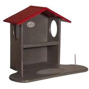 JCS Wildlife Squirrel Snack Station (Small & Large) - 1 of 4