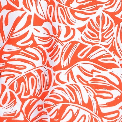 orange mini tropic leaves