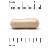 Lake Avenue Nutrition High Potency Vitamin B Complex, 90 Veggie Capsules - 3 of 3