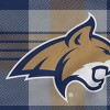 NCAA Montana State Bobcats Plaid Steel Royal Plush Faux Shearling Blanket - 2 of 2