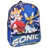 Sonic The Hedgehog School Travel Backpack 2 Piece Set With Detachable Lunch  Box Multicoloured