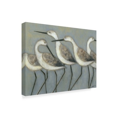 "Shore Birds I" Outdoor Canvas