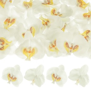 Unique Bargains Silk Plastic Durable Handcrafted Artificial Orchid Flower Heads 20 Pcs - 1 of 4