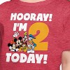 Girls' - Disney - Hooray I'm 2 Today Short Sleeve Graphic T-Shirt - 2 of 4