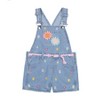Little Lass Girl's 2-Piece Shorts Overall Set - 4 of 4
