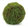 Faux Moss Orb (Set of 2) - 2 of 2