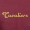 NBA Cleveland Cavaliers Women's Long Sleeve V-Neck Fleece Sweatshirt - 4 of 4