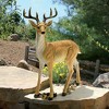Design Toscano Woodland Buck Deer Statue - 2 of 4