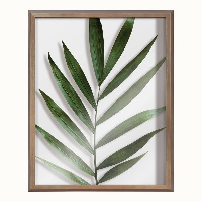 Gold Framed Botanical Print on Glass, 16" x 20"