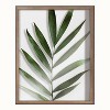 16" x 20" Blake Botanical 5F Framed Printed Glass by Amy Peterson - Kate & Laurel All Things Decor - image 2 of 4